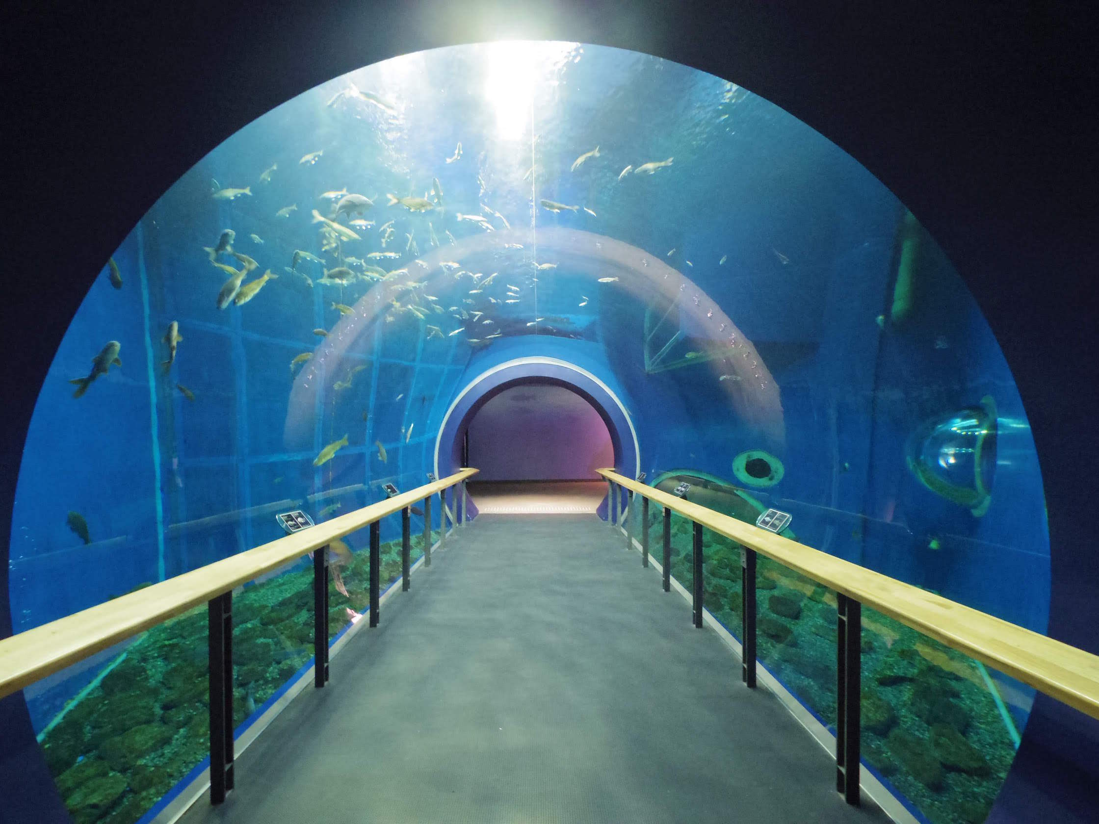 琵琶湖博物館水中トンネル
