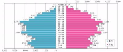 人口の年齢別分布