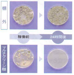 除菌効果落下菌試験