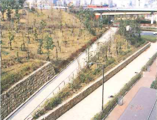 写真3：住宅地入り口のスロープ。駅、周辺施設と自宅間に段差が一つもない。