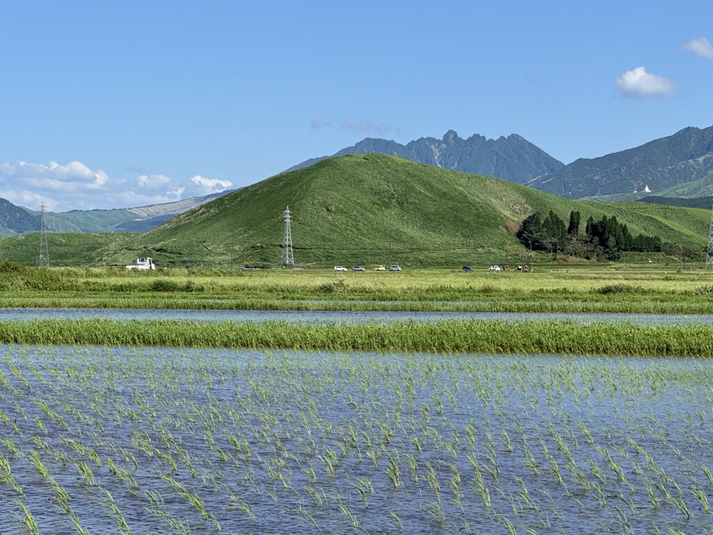 阿蘇に広がる美しい田園風景。遠くに阿蘇五岳の一峰、ギザギザとした山容が特徴的な根子岳が見えます。